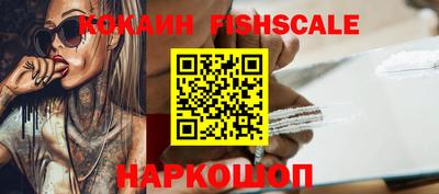 крисы Бийск