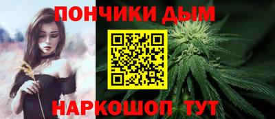 крисы Бийск
