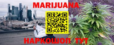 крисы Бийск