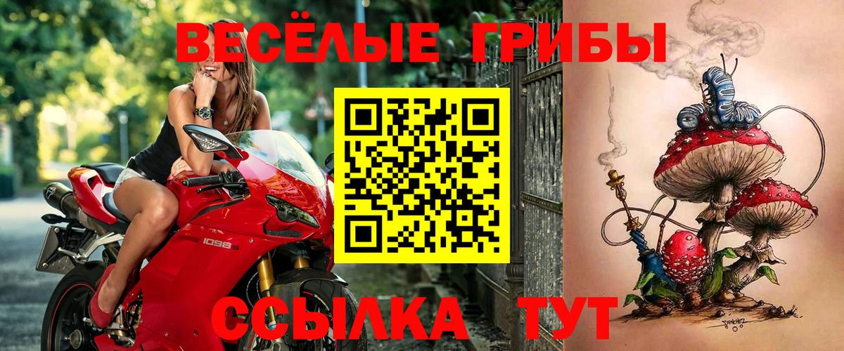 Псилоцибиновые грибы Psilocybine cubensis Белебей