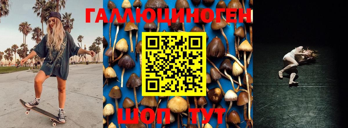 Белебей  Псилоцибиновые грибы ЛСД  Вход с VPN 